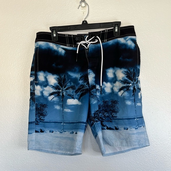 EUC American Eagle Outfitters Swim Trunks sz M - Picture 1 of 6
